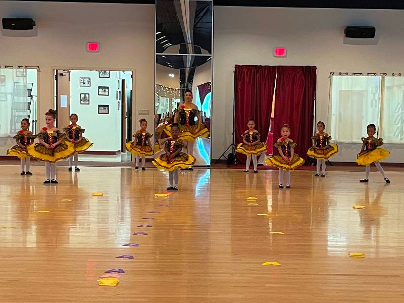 Children and adult d Ballet dancewear and shoes in Houston