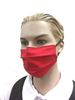 Bright Red coronavirus Fashion Face Mask (3-layer)