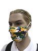 COVID-19 Coronavirus Fashion Face Mask Mardi Gras