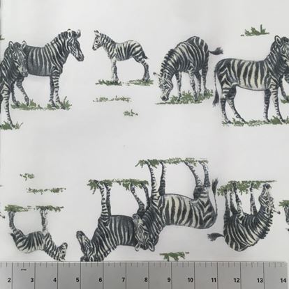 Zebras in the Wild (Poly Cotton Fabric) in Houston