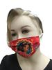 Buy  Elena Movie Theme COVID-19 Child coronavirus Fashion Face Mask (3-layer) in Houston and Sugar Land